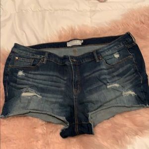 Torrid Distressed Denim Shorts Size 24